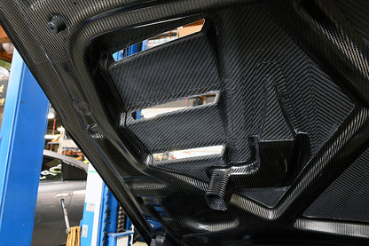 R35 Dry Carbon M17 Aero Bonnet